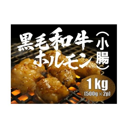 ふるさと納税 牛肉 ホルモン 広島県 熊野町 榊山牛 ホルモン焼肉・もつ鍋用(1kg) 榊山牛 焼肉 BBQ お取り寄せ グルメ 贈り物 ギフト 50-2