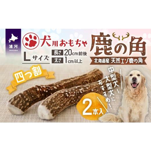 ふるさと納税 雑貨・日用品 玩具 北海道 浦河町 犬用「鹿の角(四つ割り)」Lサイズ×2本