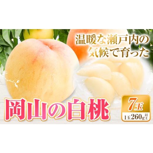 ふるさと納税 もも 岡山県 浅口市 先行予約 白桃 岡山 7玉 有限会社ホーティカルチャー神島[7月中旬-8月中旬頃出荷]岡山県 浅口市 桃 もも フルーツ 旬 果…