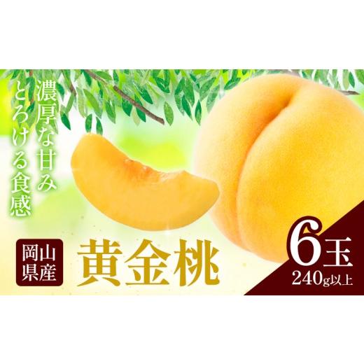 ふるさと納税 もも 岡山県 浅口市 岡山県産 黄金桃 6玉 (240g以上) 有限会社ホーティカルチャー神島[9月上旬-9月中旬頃出荷]岡山県 浅口市 黄桃 桃 モモ 果…