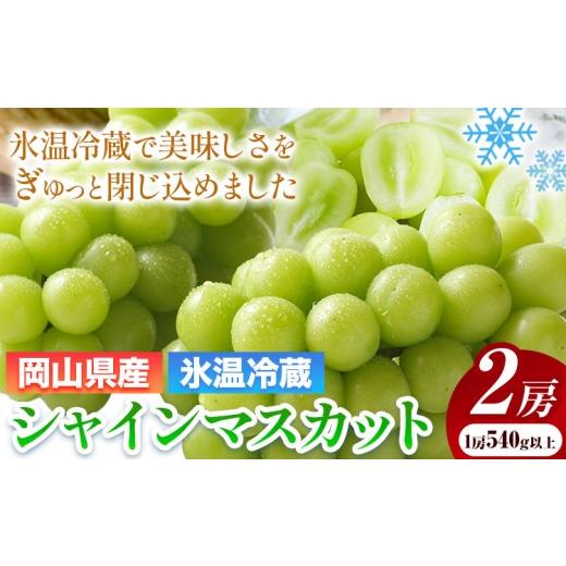 ふるさと納税 ぶどう マスカット 岡山県 浅口市 先行予約 岡山県産 冷蔵 シャインマスカット 2房 (540g以上) 有限会社ホーティカルチャー神島[11月下旬-12月…