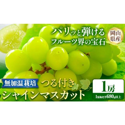 ふるさと納税 ぶどう マスカット 岡山県 浅口市 先行予約 岡山県産 つる付き シャインマスカット 1房 (680g以上) 無加温栽培 有限会社ホーティカルチャー神島…