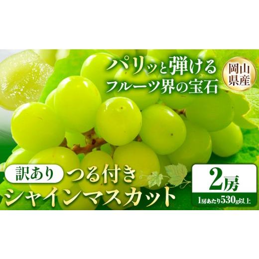 ふるさと納税 ぶどう マスカット 岡山県 浅口市 先行予約 岡山県産 訳あり つる付き シャインマスカット 2房 (530g以上) 有限会社ホーティカルチャー神島[9…
