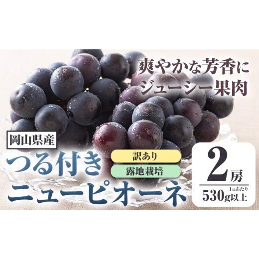 ふるさと納税 ぶどう 巨峰 岡山県 浅口市 先行予約 岡山県産 訳ありつる付きニューピオーネ 2房 530g以上 露地栽培 有限会社ホーティカルチャー神島[9月中旬…