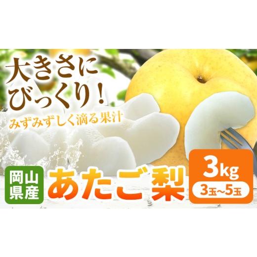 ふるさと納税 梨 岡山県 浅口市 岡山県産 あたご梨 約3kg(3-5玉) 有限会社ホーティカルチャー神島[11月中旬-12月中旬頃出荷]岡山県 浅口市 なし 梨 果物 …