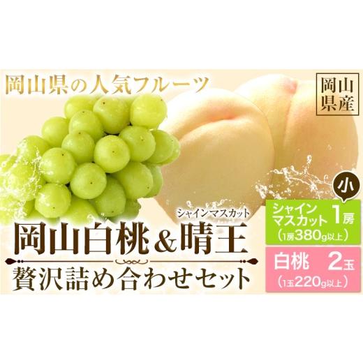 ふるさと納税 果物の詰合せ 岡山県 浅口市 先行予約 岡山白桃 & シャインマスカット 晴王 小 セット 岡山白桃2玉(ロイヤル220g以上) シャインマスカット1房(…