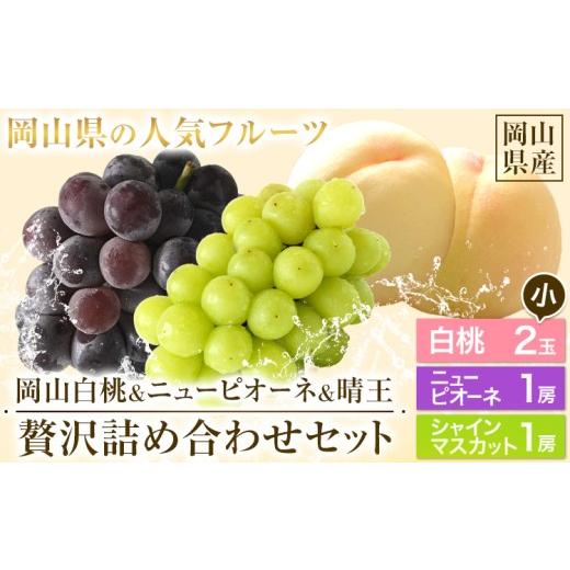 ふるさと納税 果物の詰合せ 岡山県 浅口市 先行予約 岡山白桃 & シャインマスカット 晴王 & ニューピオーネ セット 小 岡山白桃2玉(ロイヤル220g以上) シャ…