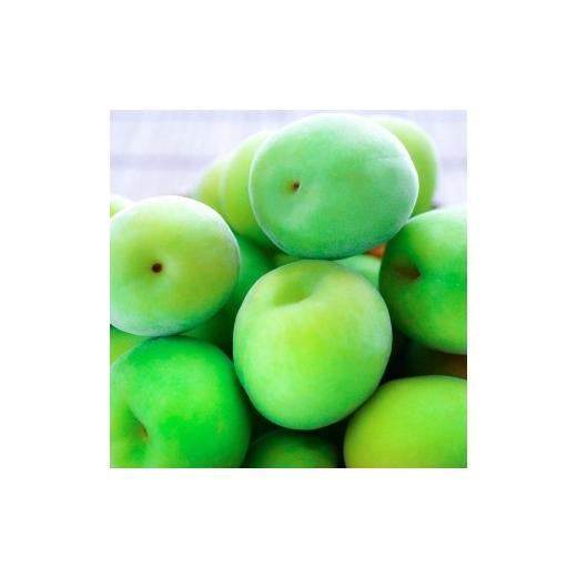 ふるさと納税 野菜類 和歌山県 有田川町 手もぎ 青梅 南高梅 5kg L〜2Lサイズ 谷本農園 5kg/L〜2L 20,000円