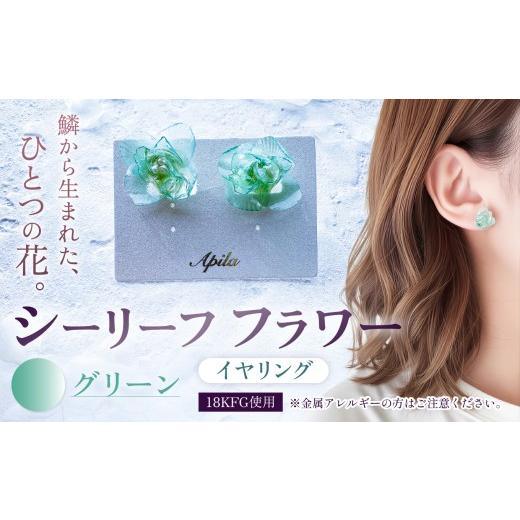 ふるさと納税 アクセサリー 兵庫県 上郡町 シーリーフフラワーのイヤリング(グリーン)| イヤリング アクセサリー カラー バリエーション 贈り物 シーリーフ …