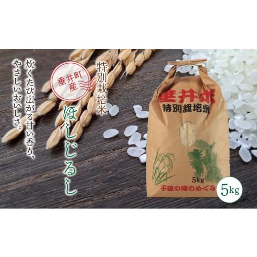 ふるさと納税 米 岐阜県 垂井町 令和7年産 特別栽培米 垂井町産 ほしじるし(精米) 5kg|お米 白米 ご飯 ライス 産地直送 ギフト 贈答用 プレゼント 岐阜県…