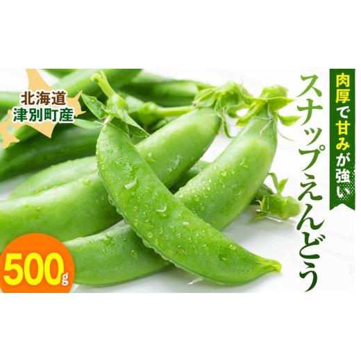 ふるさと納税 豆類 北海道 津別町 R8年産 スナップえんどう(品種:グルメ) 500g ピンクの八百屋〜ナツやさい〜 | 北海道津別町