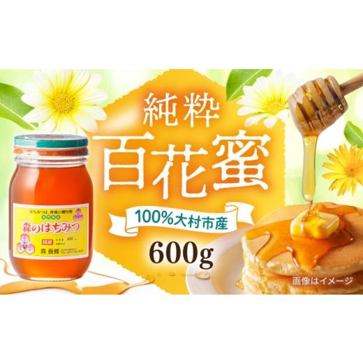 ふるさと納税 加工品等 はちみつ 長崎県 大村市 森のはちみつ 百花蜜 600g 蜂蜜 ハチミツ 大村市 三浦かんさく市