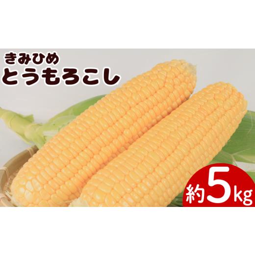 ふるさと納税 とうもろこし 徳島県 吉野川市 とうもろこし きみひめ 約5kg Lサイズ 14本〜16本 [ 2026年6月発送 ] スイートコーン 冷蔵 コーン 野菜 やさい …