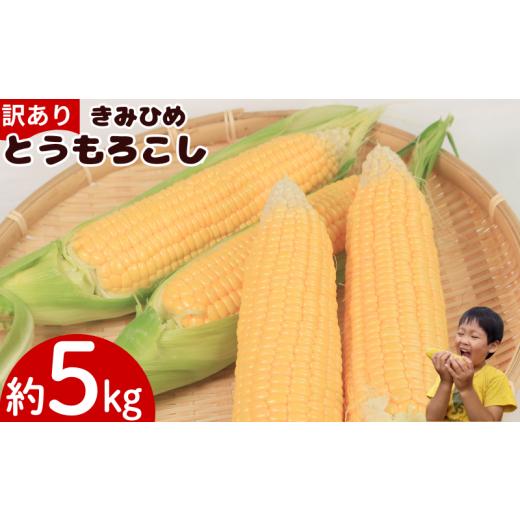 ふるさと納税 とうもろこし 徳島県 吉野川市 訳あり とうもろこし きみひめ 約5kg サイズ不揃い [ 2026年6月発送 ] スイートコーン 冷蔵 コーン 野菜 やさい…