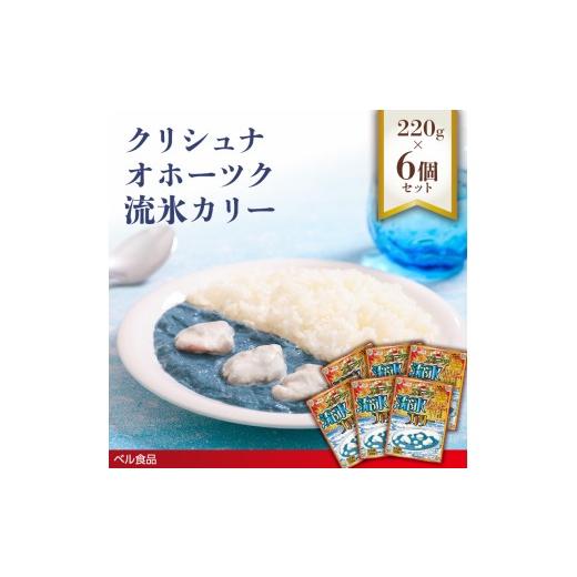 ふるさと納税 加工品等 レトルト 北海道 遠軽町 クリシュナ オホーツク流氷カリー 220g 6個セット en01-00254