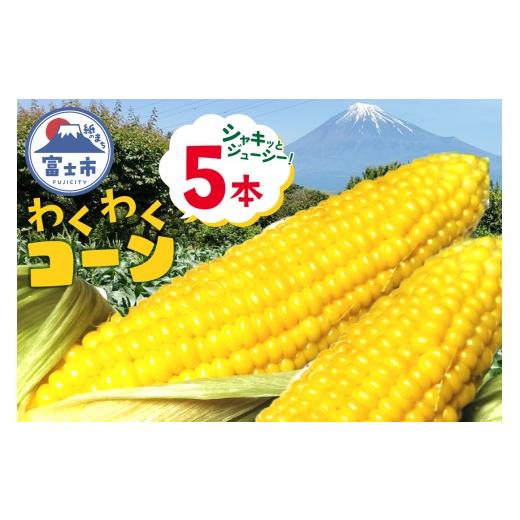 ふるさと納税 とうもろこし 静岡県 富士市 トウモロコシ わくわくコーン 5本 期間限定 数量限定 糖度15度以上 ジューシー 甘い スイートコーン 野菜 新鮮 朝採…