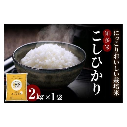 ふるさと納税 米 コシヒカリ 愛知県 常滑市 にっこりおいしい栽培米 知多米こしひかり(2kg)│知多米 米 お米 こしひかり コシヒカリ 精米 栽培米 ブランド…