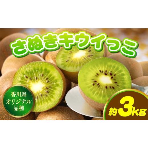 ふるさと納税 果物類 香川県 三木町 先行受付 香川県オリジナルキウイフルーツ「さぬきキウイっこ」約3kg 香川県共通返礼品 | キウイ キウイフルーツ 果物 フ…