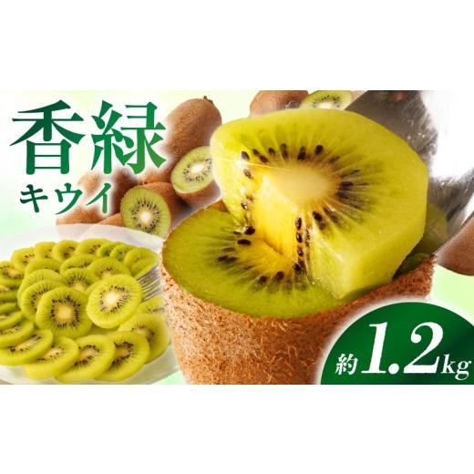 ふるさと納税 果物類 香川県 三木町 先行受付 香川県オリジナルキウイフルーツ「香緑」約1.2kg(8-13玉) 香川県共通返礼品 | キウイ フルーツ 果物 香川県 …