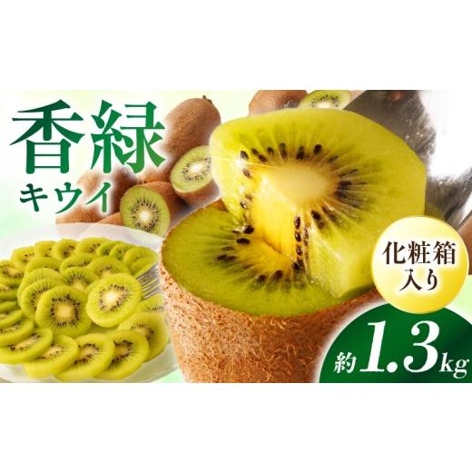 ふるさと納税 果物類 香川県 三木町 先行受付 香川県オリジナルキウイフルーツ「香緑」約1.3kg 化粧箱 香川県共通返礼品 | キウイ フルーツ 果物 香川県 香緑…