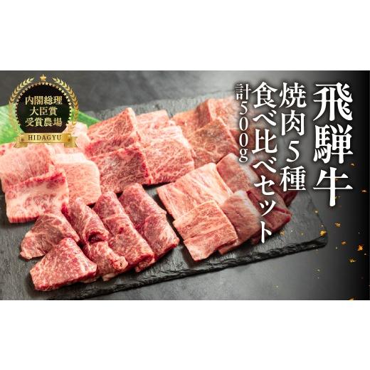 ふるさと納税 牛肉 焼肉・バーベキュー 岐阜県 下呂市 飛騨牛 焼肉 5種 食べ比べセット(各100g)計500g (カルビ・肩・モモ・ロース・トモサンカク)焼肉用 …