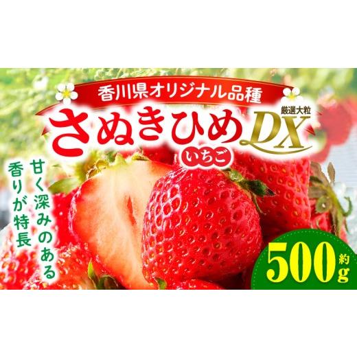 ふるさと納税 いちご 香川県 三木町 先行受付 年内発送 三木町地域いちご部会「さぬきひめ」約500gDXパック | スイーツ いちご ストロベリー イチゴ さぬき姫…
