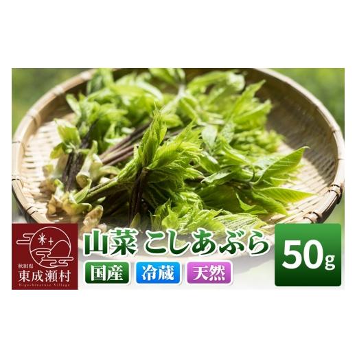 ふるさと納税 野菜類 山菜 秋田県 東成瀬村 山菜 こしあぶら 50g 秋田県 東成瀬村産 TAKAYA 山菜 国産 コシアブラ 天然 冷蔵 山菜 こしあぶら 50g 6,000円