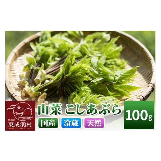 ふるさと納税 野菜類 山菜 秋田県 東成瀬村 山菜 こしあぶら 100g 秋田県 東成瀬村産 TAKAYA 山菜 国産 コシアブラ 天然 冷蔵 山菜 こしあぶら 100g 7,500円