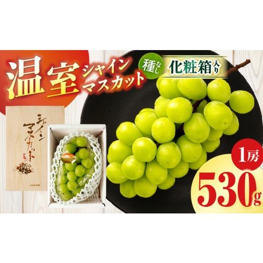 ふるさと納税 ぶどう マスカット 香川県 三木町 先行受付 温室シャインマスカット 1房化粧箱入り(530g以上) | マスカット ハウス ぶどう ブドウ 葡萄 果物 フ…