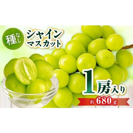 ふるさと納税 ぶどう マスカット 香川県 三木町 先行受付 シャインマスカット 1房入り(約680g) | マスカット ぶどう ブドウ 葡萄 果物 フルーツ 人気 香川 香…