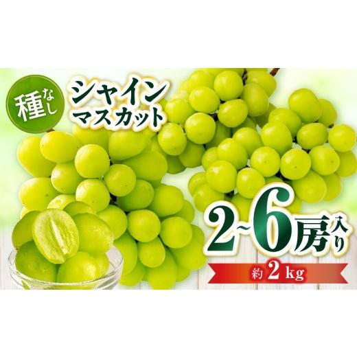 ふるさと納税 ぶどう マスカット 香川県 三木町 先行受付 シャインマスカット 2〜6房入り(約2kg) | マスカット ぶどう ブドウ 葡萄 果物 フルーツ 人気 香川 …