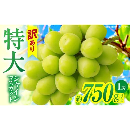 ふるさと納税 ぶどう マスカット 香川県 三木町 先行受付 訳あり 特大シャインマスカット1房 約750g |マスカット ぶどう ブドウ 葡萄 訳あり 果物 フルーツ …