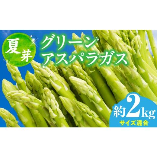 ふるさと納税 野菜類 アスパラガス 香川県 三木町 先行受付 夏芽 グリーンアスパラガス サイズ混合約2kg(1kg×2箱) | グリーンアスパラガス アスパラガス …