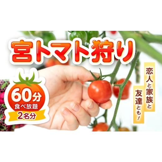 ふるさと納税 体験チケット 長崎県 諫早市 宮下農園の宮トマト狩り 2名分(60分食べ放題)/ ミニトマト ミニとまと とまと狩り トマト とまと プチトマト 体…