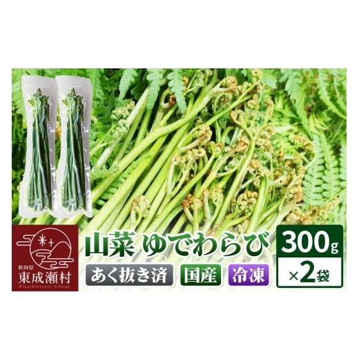 ふるさと納税 野菜類 山菜 秋田県 東成瀬村 山菜 ゆでわらび 300g×2 冷凍 秋田県 東成瀬村産 TAKAYA 山菜 国産 ワラビ わらび 冷凍 アク抜き あく抜き