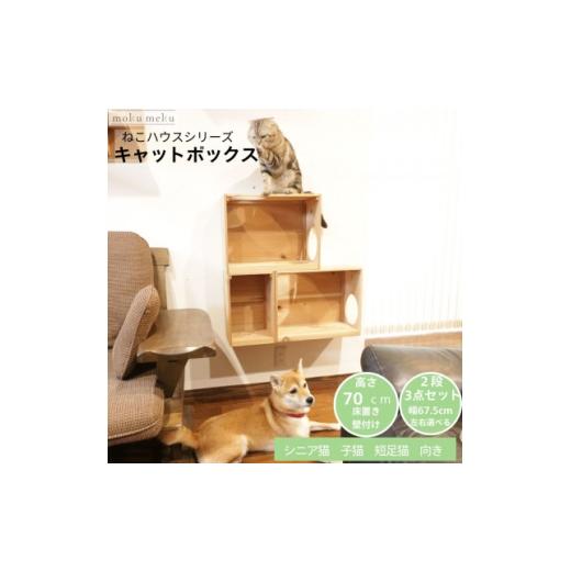 ふるさと納税 雑貨・日用品 愛知県 北名古屋市 床置きタワー・壁付けキャットウォークで使えるキャットボックス 2段3点セット(左上がり) 1186734