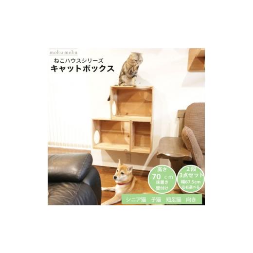 ふるさと納税 雑貨・日用品 愛知県 北名古屋市 床置きタワー・壁付けキャットウォークで使えるキャットボックス 2段3点セット(右上がり) 1186735
