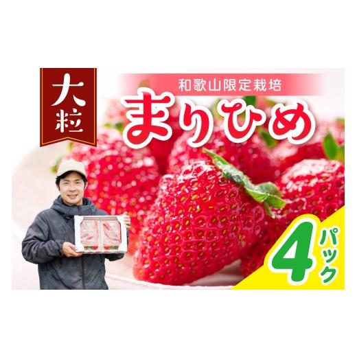 ふるさと納税 いちご 和歌山県 御坊市 まりひめ4パック 配送不可地域:北海道・青森・秋田・岩手・沖縄・離島