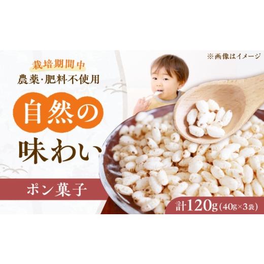 ふるさと納税 菓子 大阪府 高槻市 ポン菓子 お米の花びら 3個 大阪府高槻市/高槻ナチュラルファーム