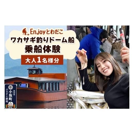 ふるさと納税 体験チケット 秋田県 小坂町 Enjoyとわだこ ワカサギ釣りドーム船 乗船体験(大人1名様分)湖の上で過ごす特別な時間 レターパックプラス 十和田…