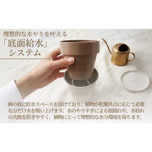 ふるさと納税 雑貨・日用品 大阪府 河内長野市 アイアン 底面給水