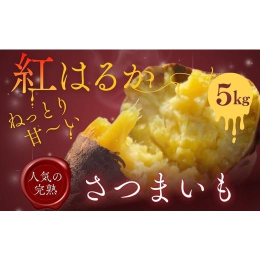 ふるさと納税 野菜類 サツマイモ 大阪府 河内長野市 紅はるか さつまいも 5kg | 熟成 数量限定 甘い 焼き芋 バター焼き サラダ 天ぷら スイーツ スイートポテ…