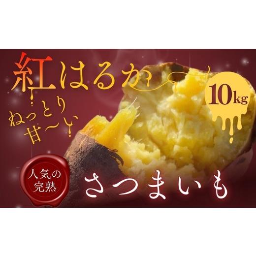 ふるさと納税 野菜類 サツマイモ 大阪府 河内長野市 紅はるか さつまいも 10kg | 熟成 数量限定 甘い 焼き芋 バター焼き サラダ 天ぷら スイーツ スイートポ…