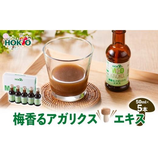 ふるさと納税 健康食品 長野県 長野市 梅香るアガリクスエキス 5本入り ドリンク キノコ 茸 きのこ セット 健康加工食品 飲料 | ホクト アガリクス エキス …