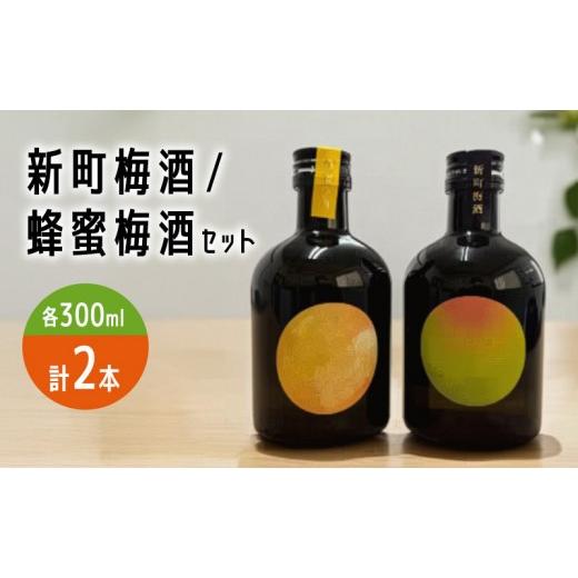 ふるさと納税 お酒 リキュール 長野県 長野市 新町梅酒/蜂蜜梅酒セット お酒 リキュール 飲み比べ 晩酌 長野県