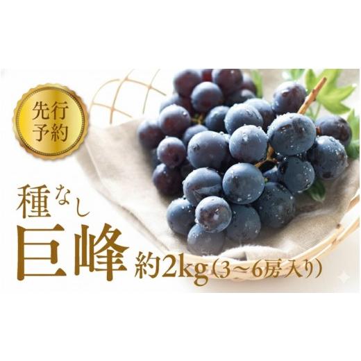 ふるさと納税 ぶどう 巨峰 長野県 長野市 2026年産 ぶどう 種なし 巨峰 約 2kg 箱3〜6房入り 巨峰種無し フルーツ 果物 旬 ブドウ 葡萄 おやつ 信州 長野県 長…