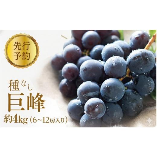 ふるさと納税 ぶどう 巨峰 長野県 長野市 2026年産ぶどう 種なし 巨峰 約4kg 6〜12房入り 果物 ブドウ 葡萄 フルーツ デザート おやつ 信州 2026年秋発送