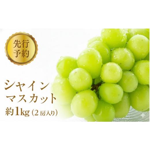 ふるさと納税 ぶどう マスカット 長野県 長野市 2026年産 ぶどう シャインマスカット 約1kg 2房入り 葡萄 ブドウ シャイン マスカット 果物 フルーツ デザート…