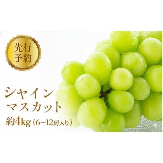 ふるさと納税 ぶどう マスカット 長野県 長野市 2026年産ぶどう シャインマスカット 約4kg 6〜12房入り 葡萄 ブドウ シャイン マスカット 果物 フルーツ デザ…の画像