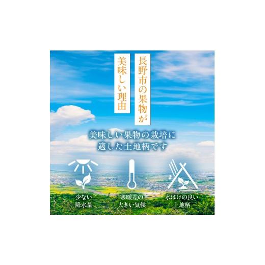 ふるさと納税 ぶどう マスカット 長野県 長野市 2026年産ぶどう シャインマスカット 約4kg 6〜12房入り 葡萄 ブドウ シャイン マスカット 果物 フルーツ デザ…の画像